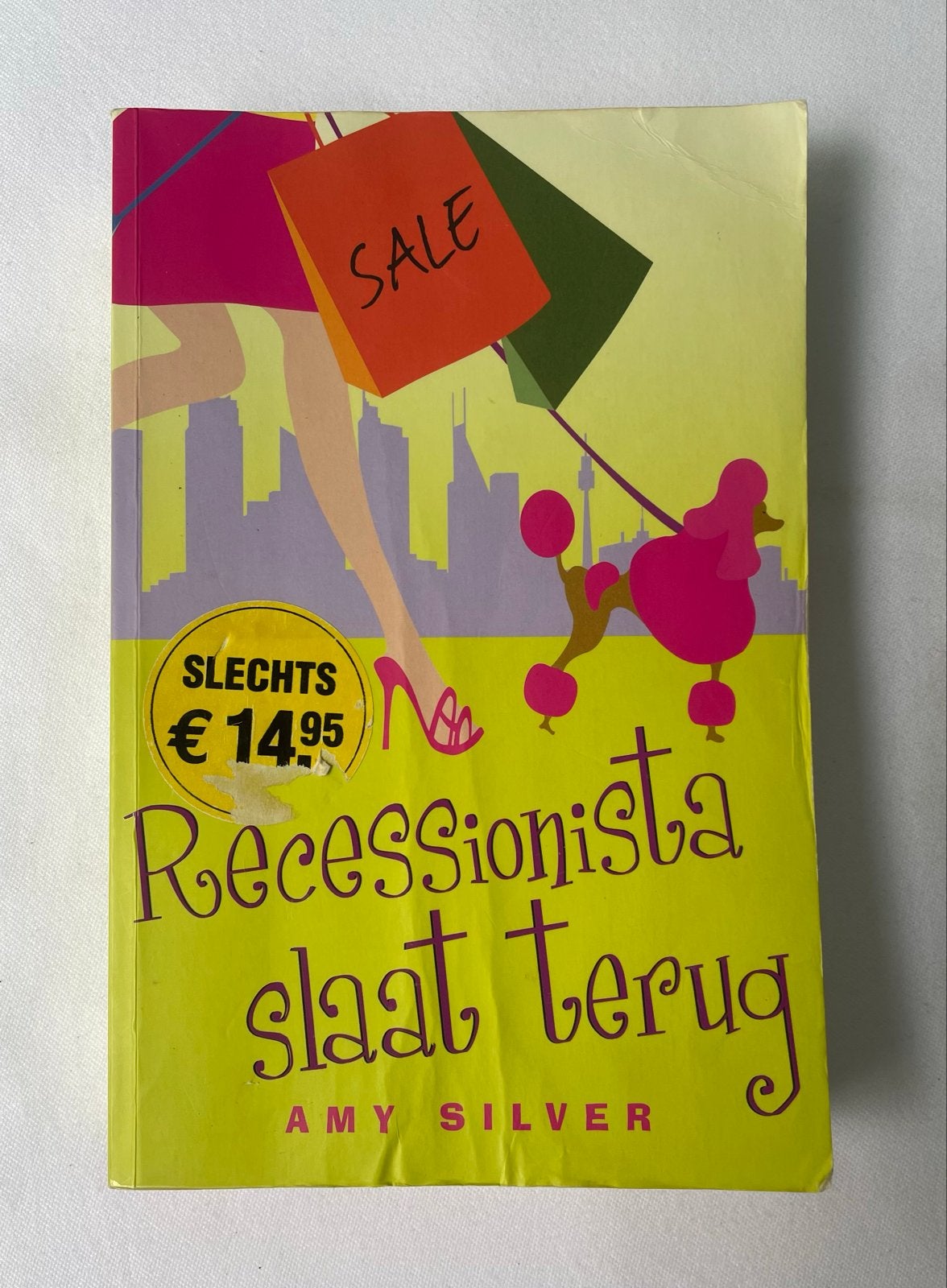 Boek Recessionista Slaat Terug van Amy Silver (Gelezen), Ophalen of Verzenden, Gelezen