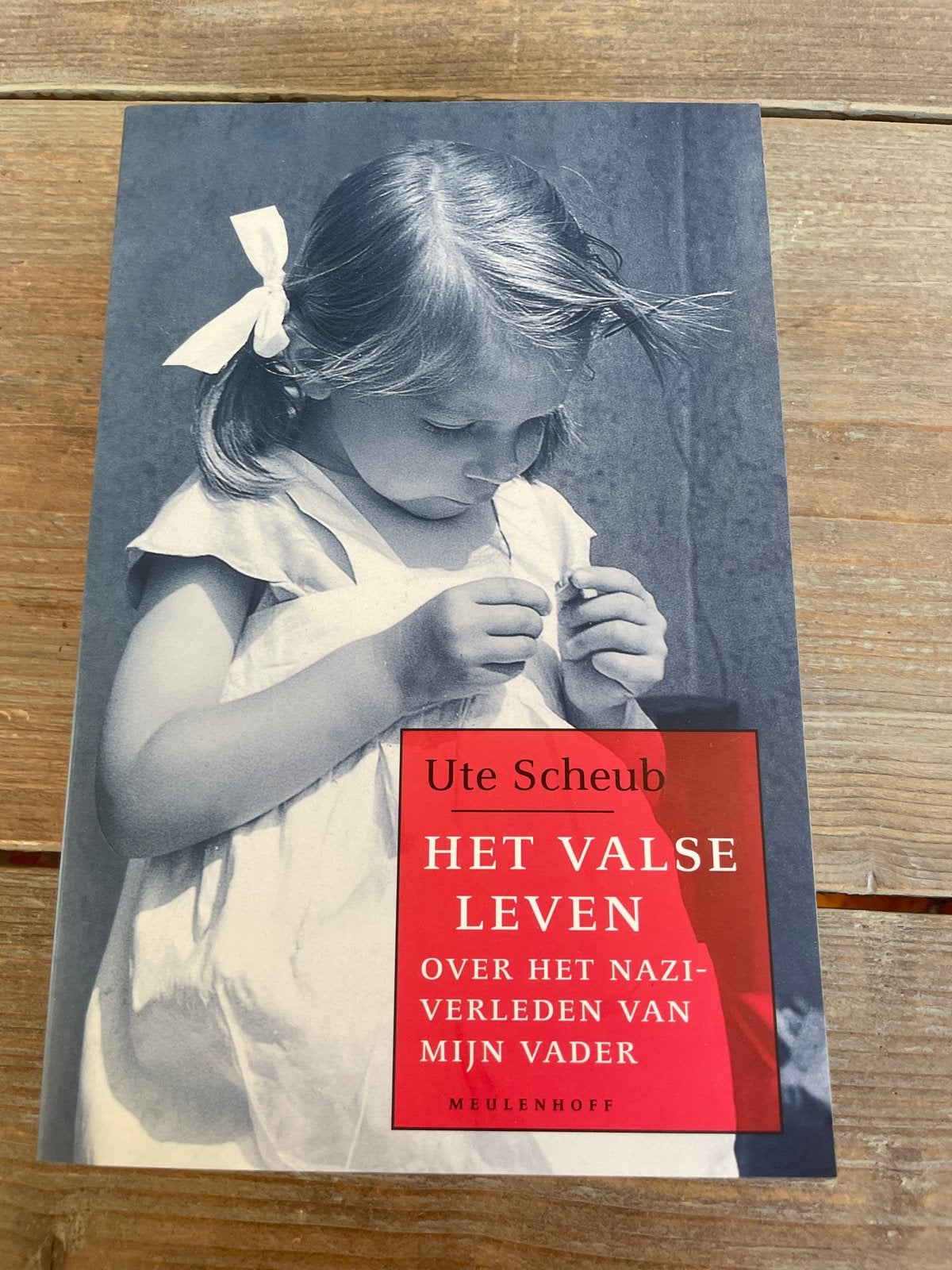 Het Valse Leven - Ute Scheub (Over het Nazi-verleden), Boeken, Ophalen of Verzenden, Zo goed als nieuw, Politiek