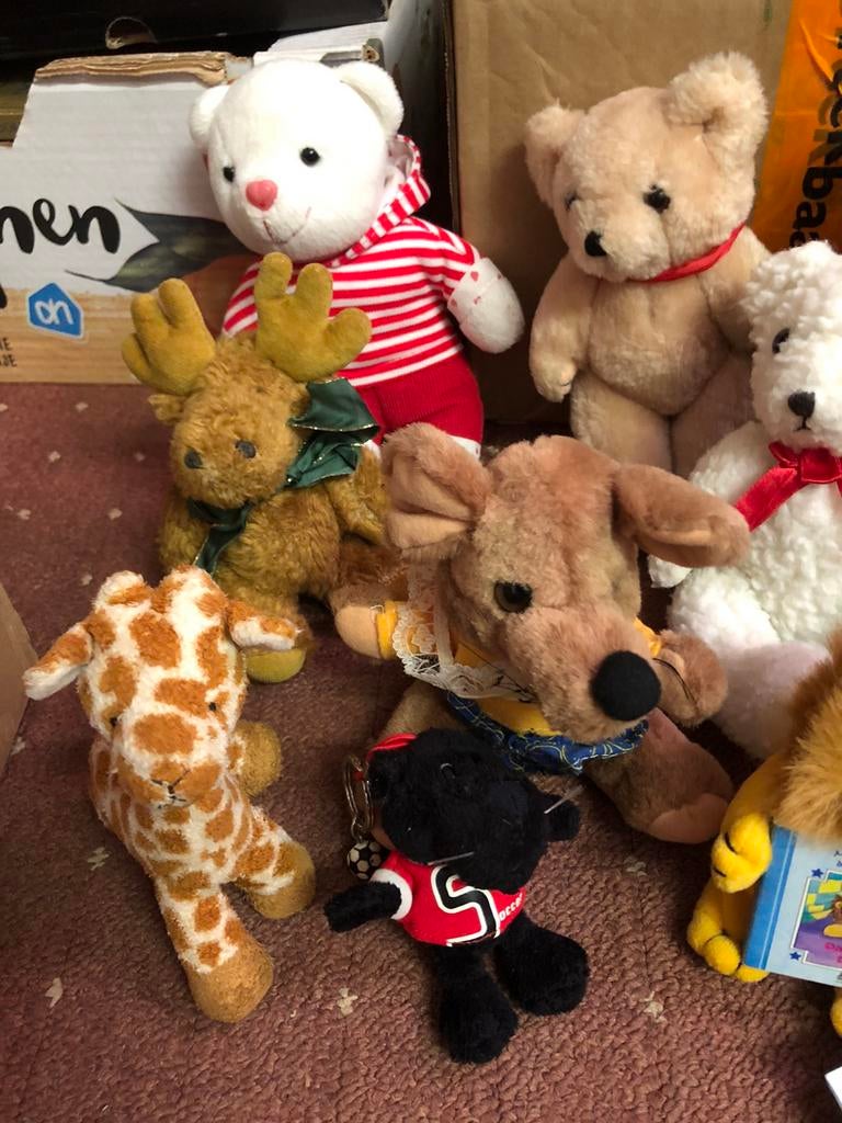 Pluche knuffels, Kinderen en Baby's, Speelgoed | Knuffels en Pluche, Ophalen of Verzenden, Zo goed als nieuw, Overige typen
