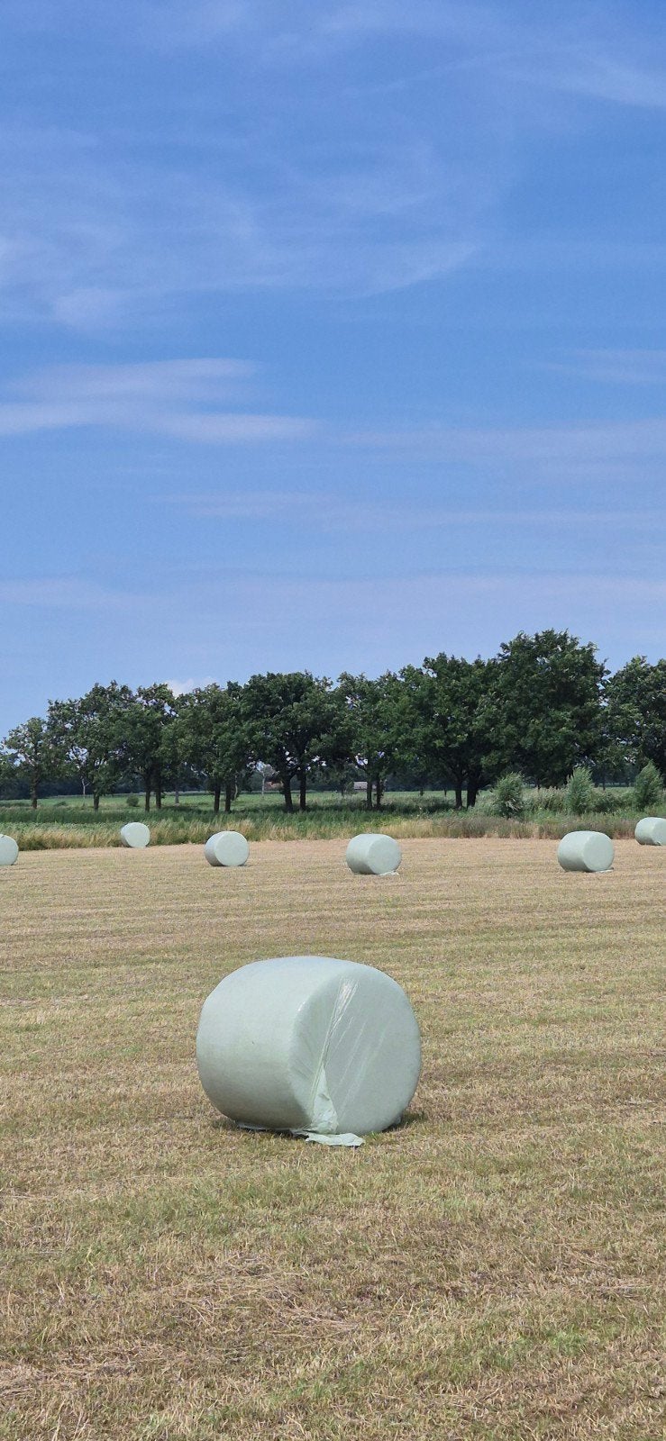 Hooibalen, Dieren en Toebehoren, Dierenvoeding, Ophalen, Vee