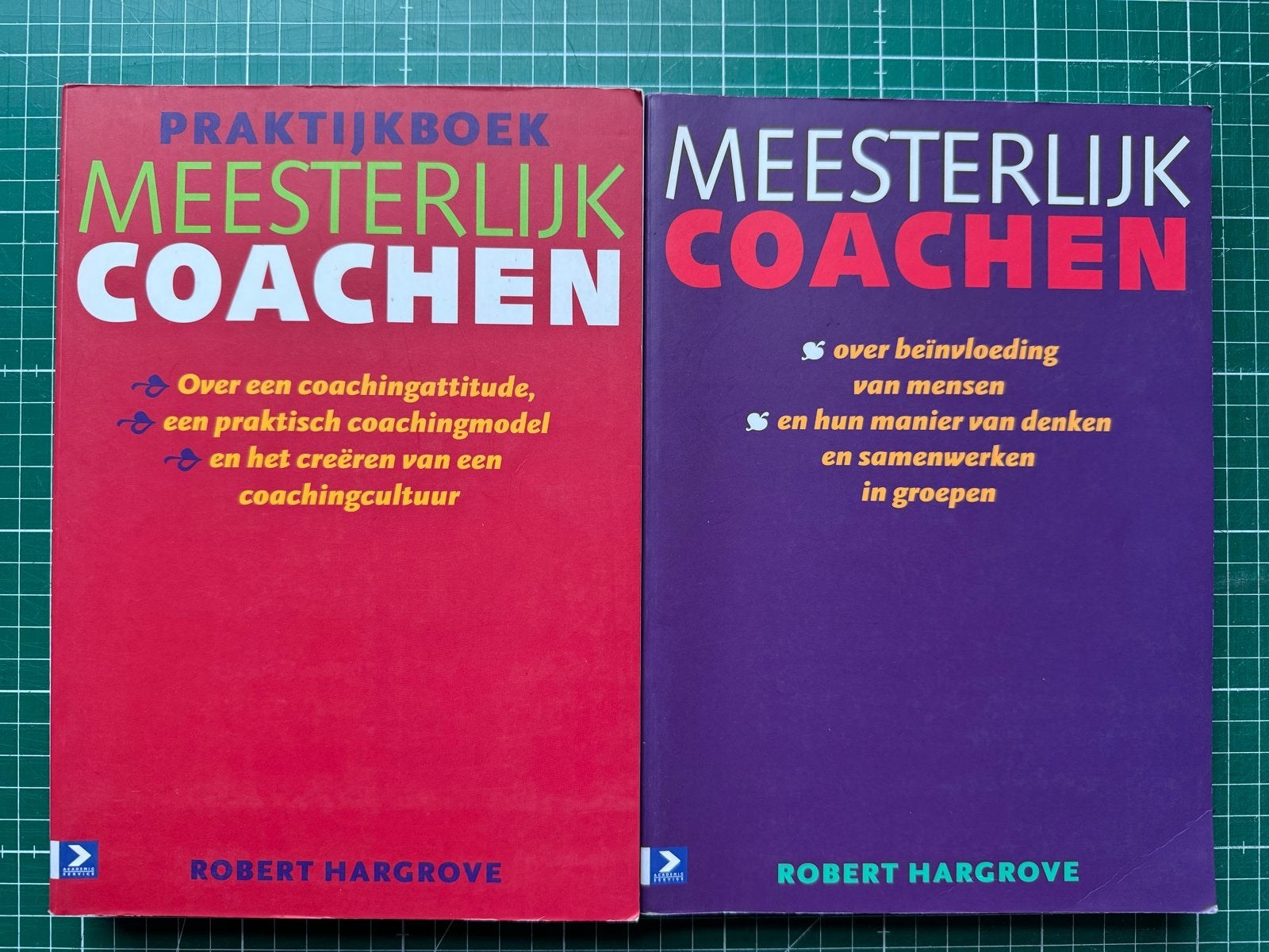 Meesterlijk Coachen Boeken - Robert Hargrove (2-delige set), Ophalen of Verzenden, Gelezen