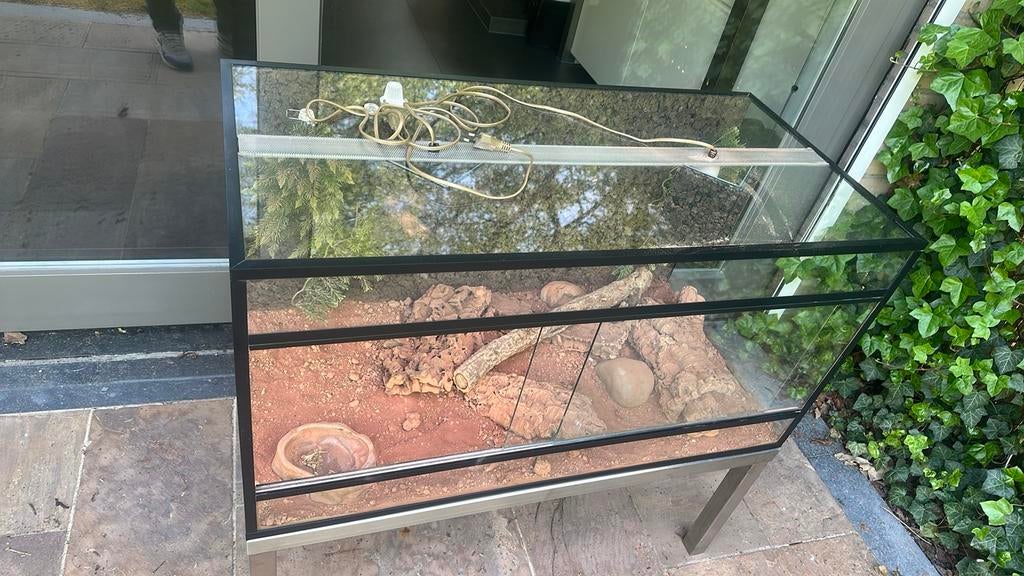 Glazen terrarium., Dieren en Toebehoren, Reptielen en Amfibieën | Toebehoren, Ophalen of Verzenden, Zo goed als nieuw