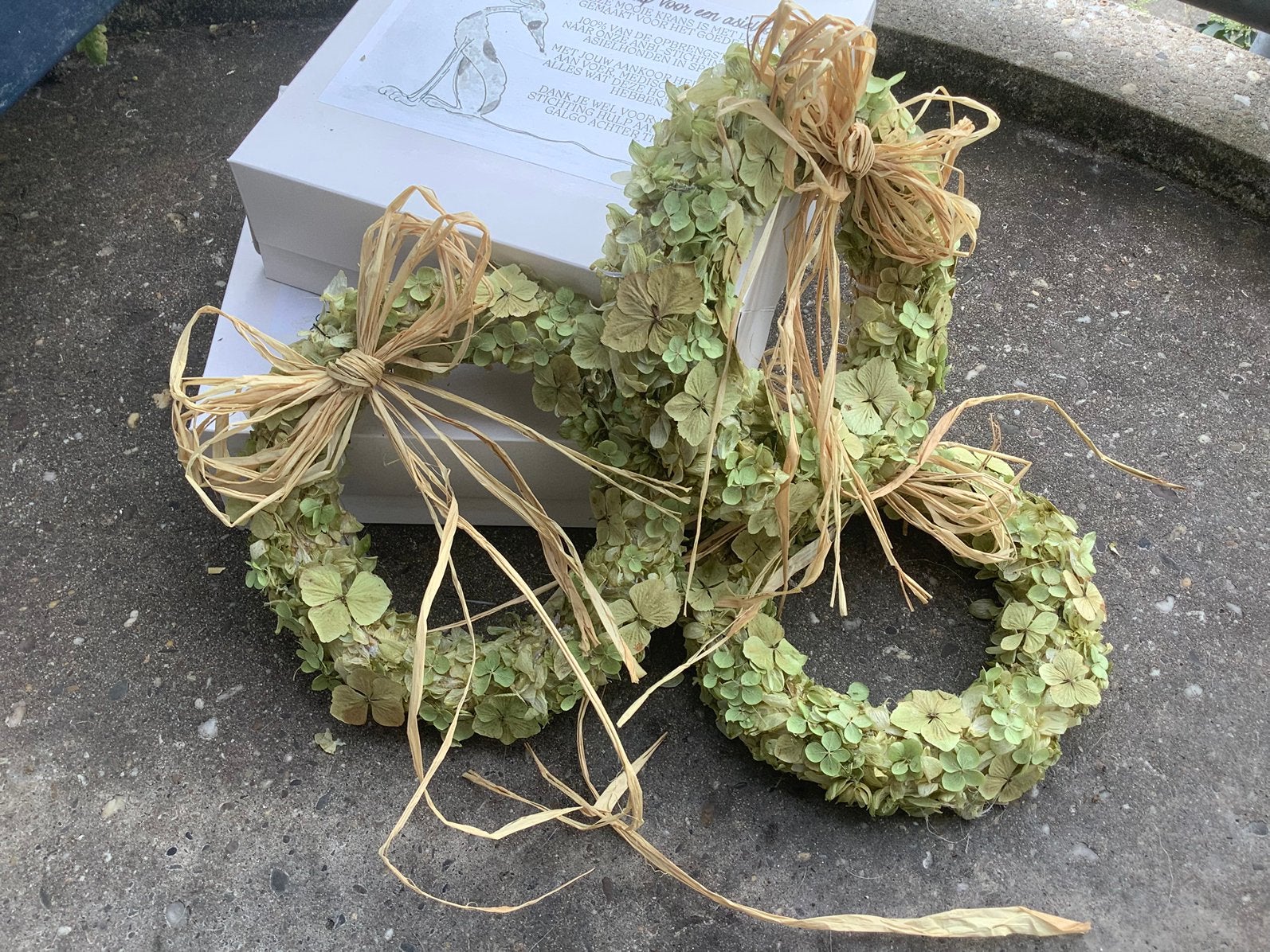 Hortensia krans kransen , prachtig groen ingedroogd, Ophalen of Verzenden, Nieuw