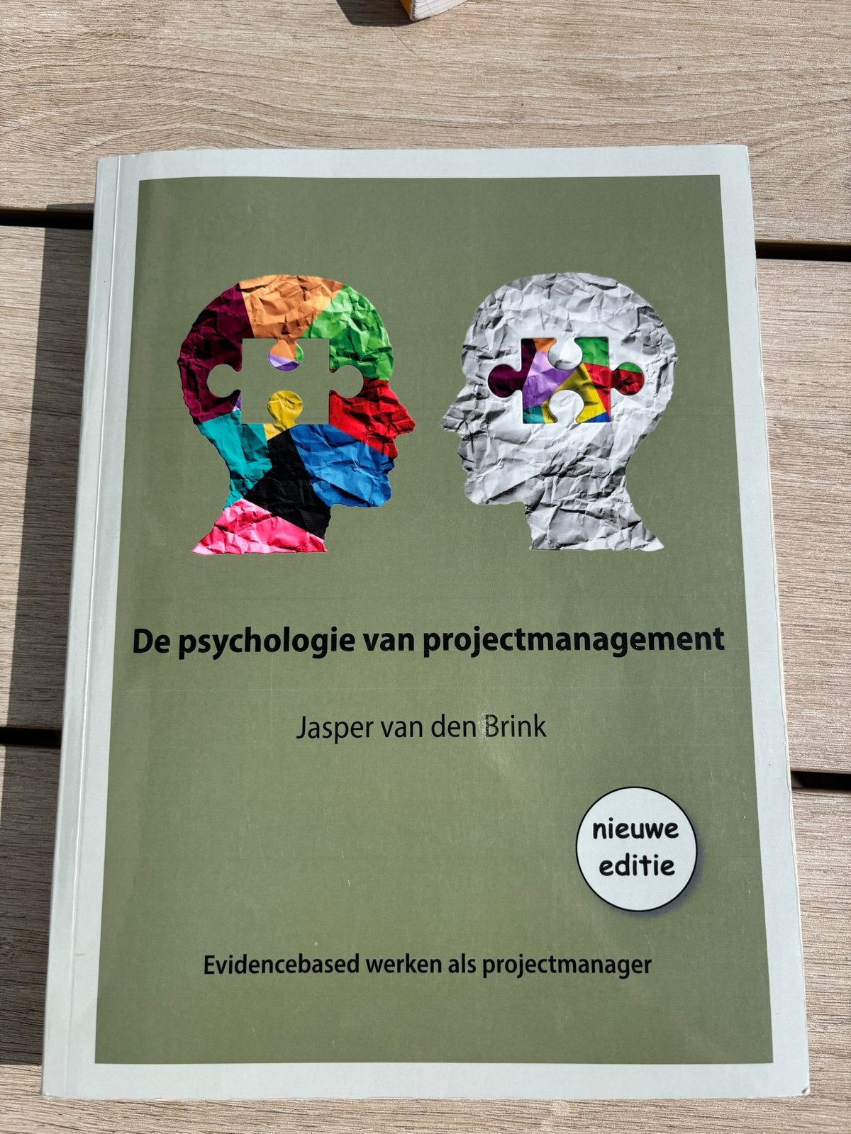 De psychologie van projectmanagement - Jasper van den Brink, Verzenden, Gamma, Zo goed als nieuw, HBO