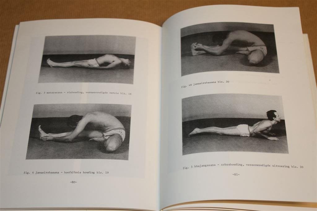 Hatha Yoga. Praktisch beginnen. Cor Thelen., Ophalen of Verzenden, Gelezen, Overige onderwerpen, Achtergrond en Informatie
