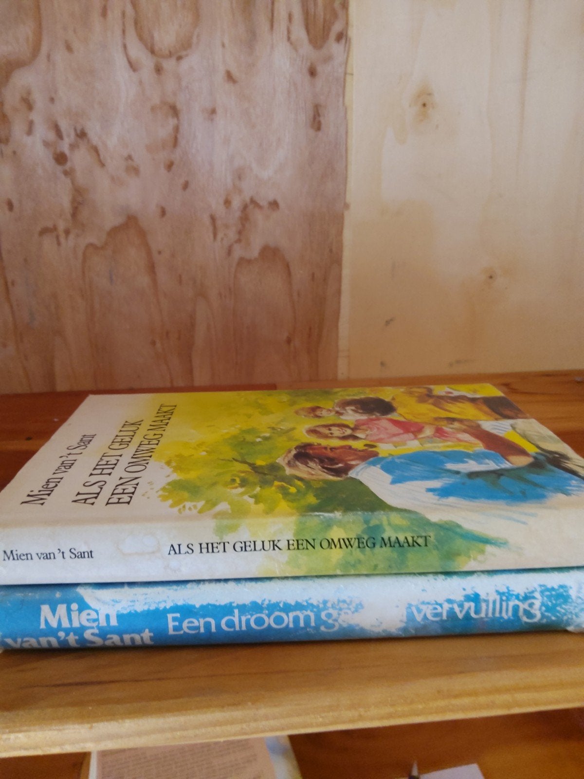 2 boeken van Mien van 't Sant: Als het geluk een omweg maakt, Boeken, Ophalen of Verzenden, Gelezen, Mien van 't Sant, Nederland