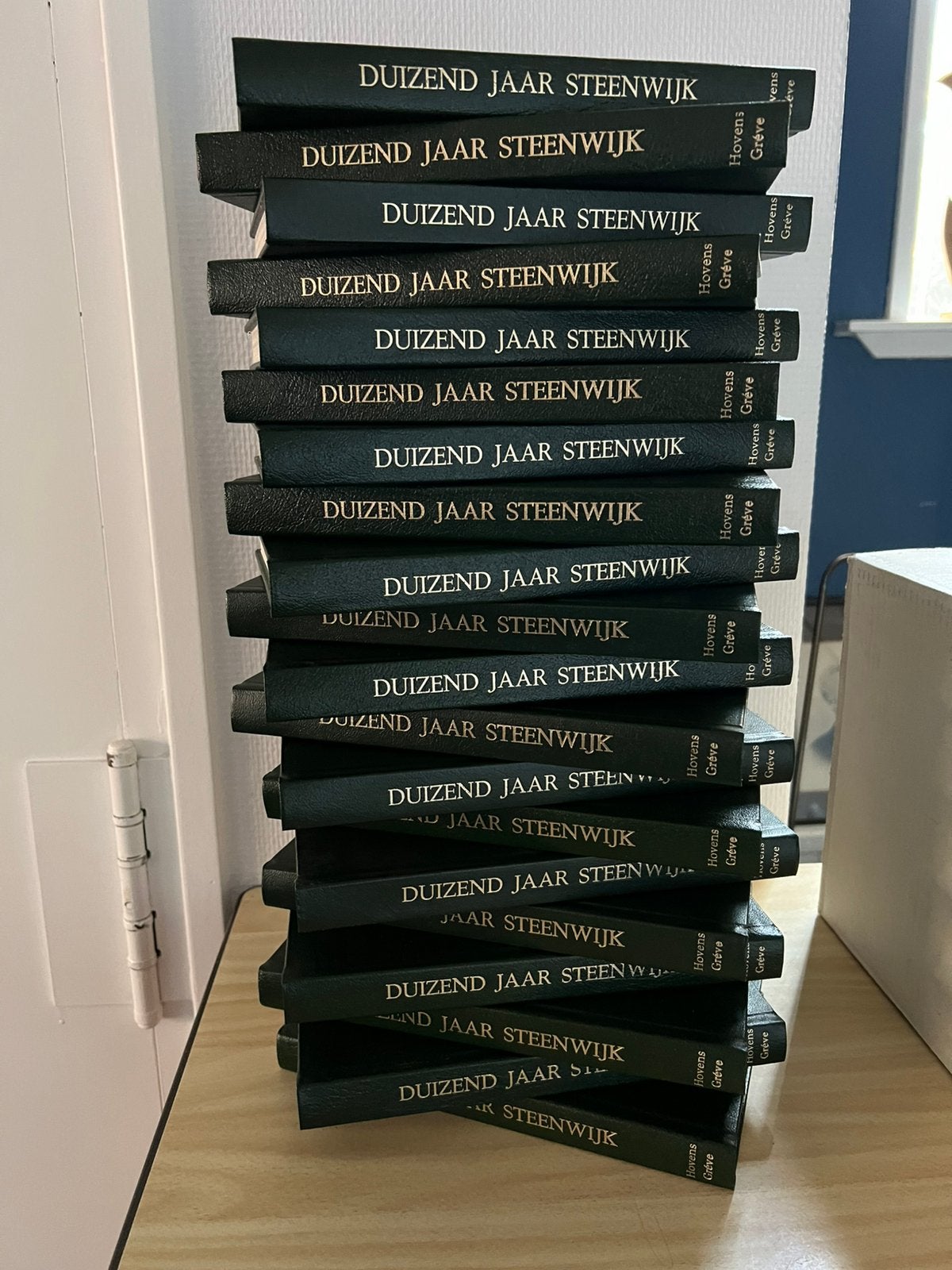 NIEUW SPECIALE UITGAVE Boek “Duizend Jaar Steenwijk” 320 pag, Ophalen of Verzenden, 19e eeuw, Nieuw