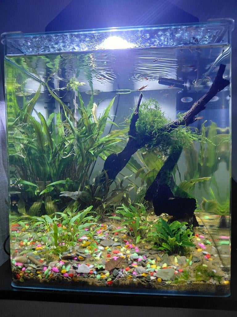 Aquarium, Ophalen, Leeg aquarium