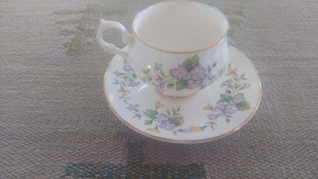 Mooie Springfield Bone China theekop en schotel, vintage., Ophalen of Verzenden