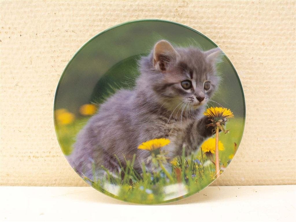 Porseleinen wandbord 36416