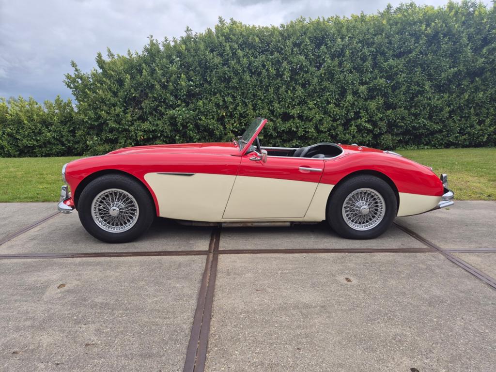 Austin Healey 100 / 6, Particulier, Te koop