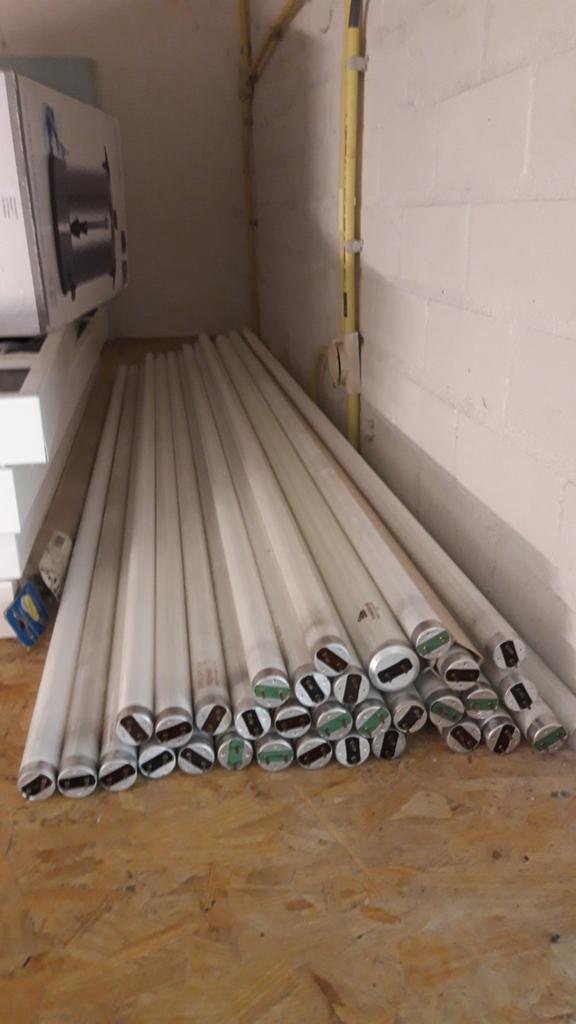 TL buizen 150cm 34 stuks, Ophalen