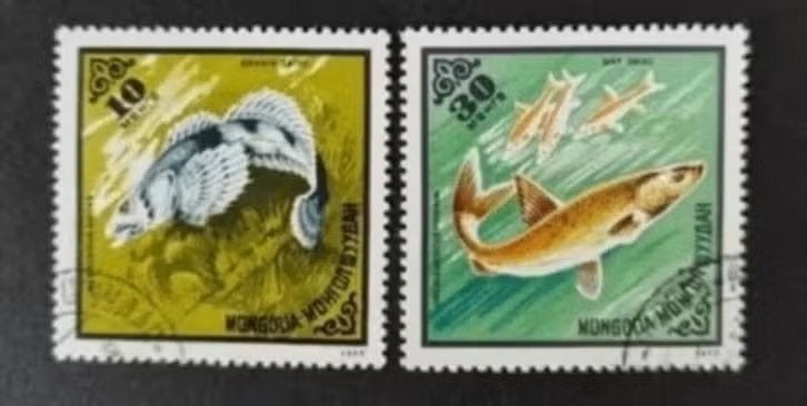 Mongolie 1612003 vis, Ophalen of Verzenden, Gestempeld, Midden-Oosten