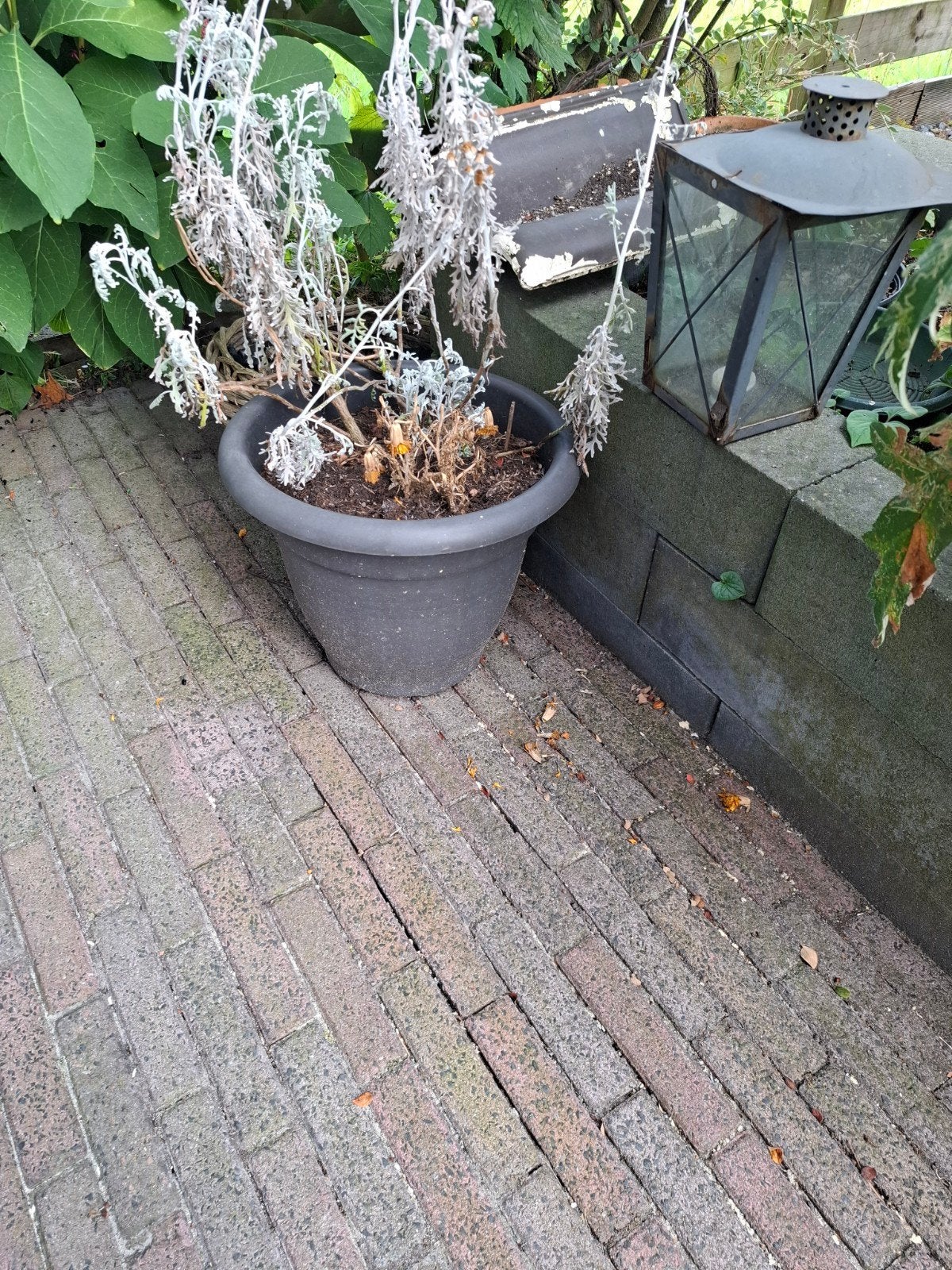 Waaltjes (ca. 50m2) zelf uithalen, Ophalen, Gebruikt, Klinkers, 10 m² of meer