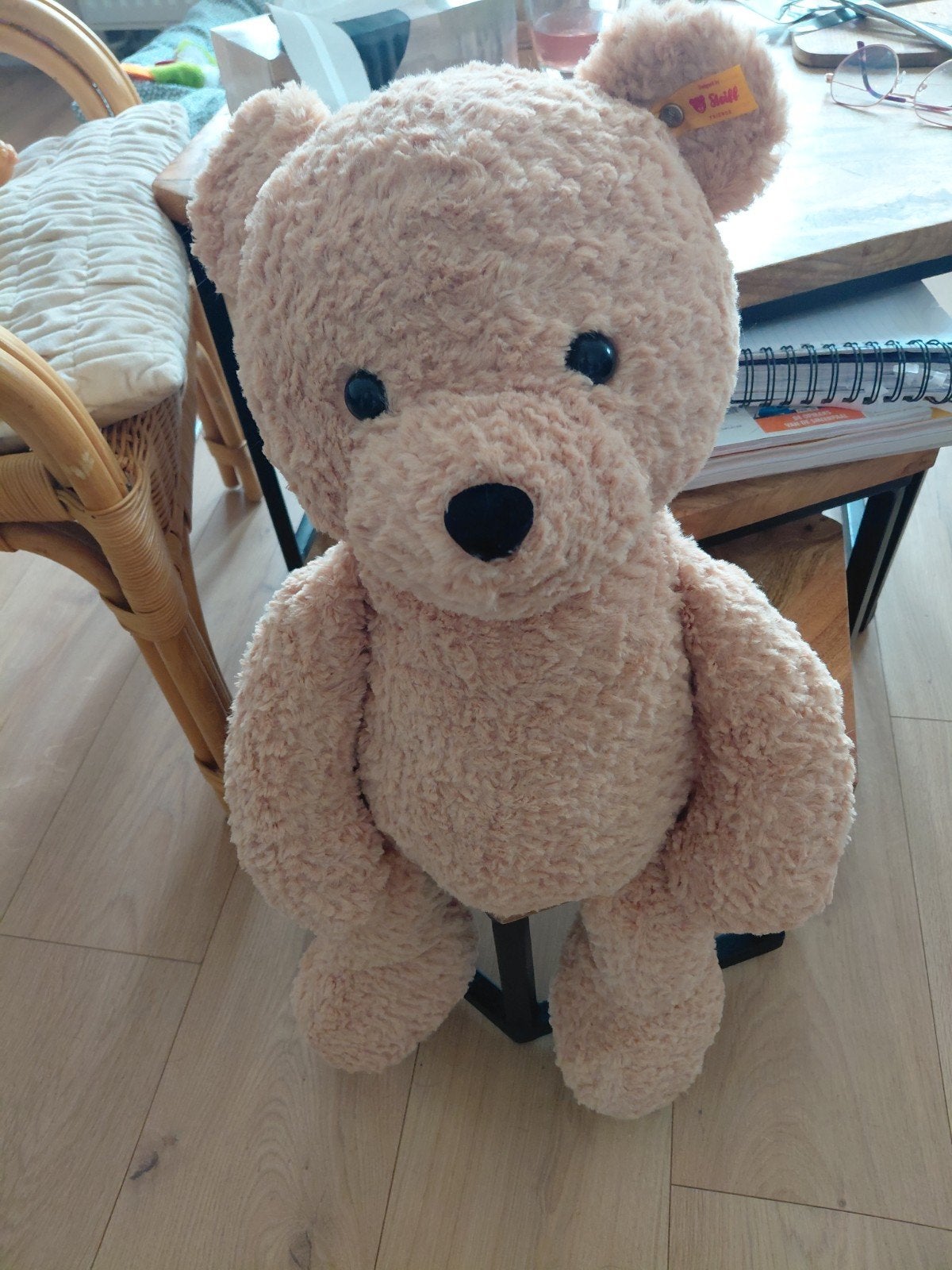 Steiff Jimmy Knuffelbeer - 55 cm, Kinderen en Baby's, Overige merken, Beer, Ophalen of Verzenden, Zo goed als nieuw