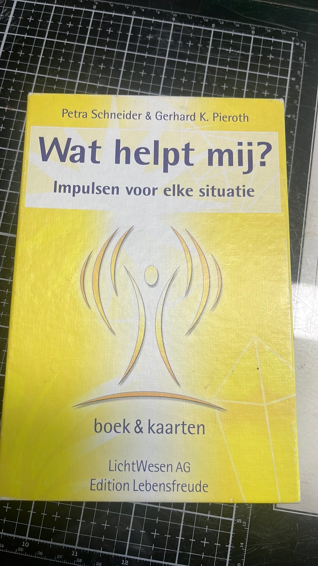 Wat helpt mij? Lichtwezen Boek en kaarten, Ophalen of Verzenden, Tarot of Kaarten leggen, Overige typen