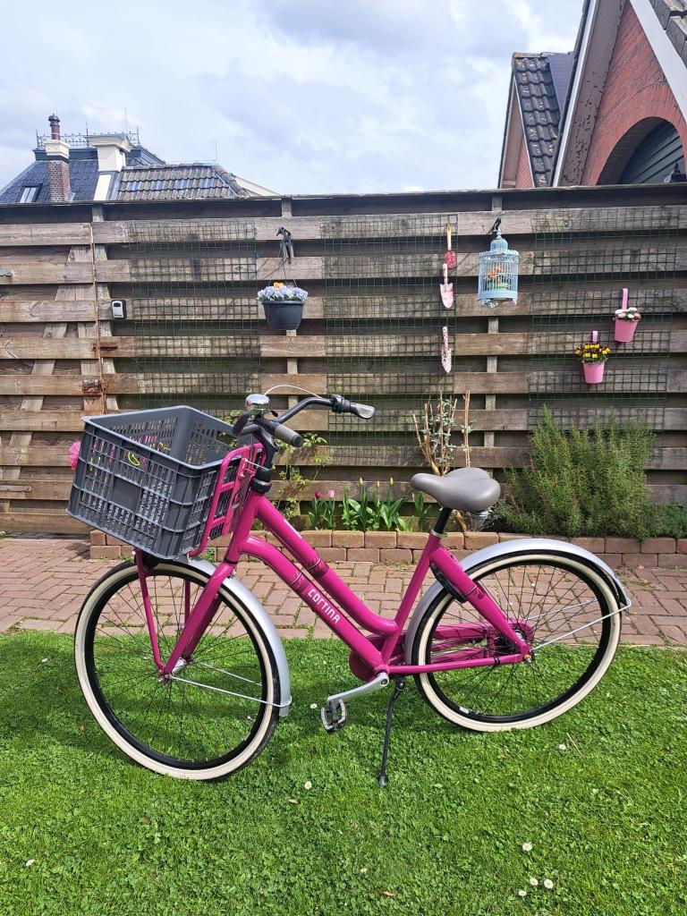 Te koop: stijlvolle Cortina Crush damesfiets, Terugtraprem, Gebruikt, Versnellingen, 50 tot 53 cm