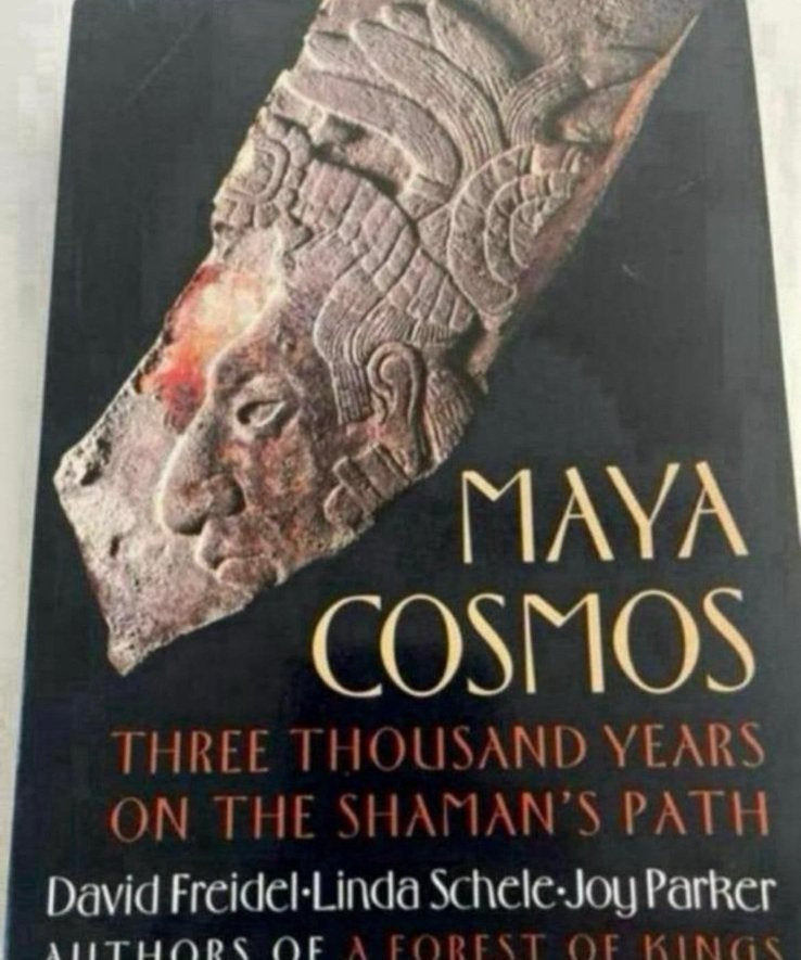 Maya Cosmos: Drieduizend jaar op het pad van de sjamaan, Ophalen of Verzenden, Zo goed als nieuw