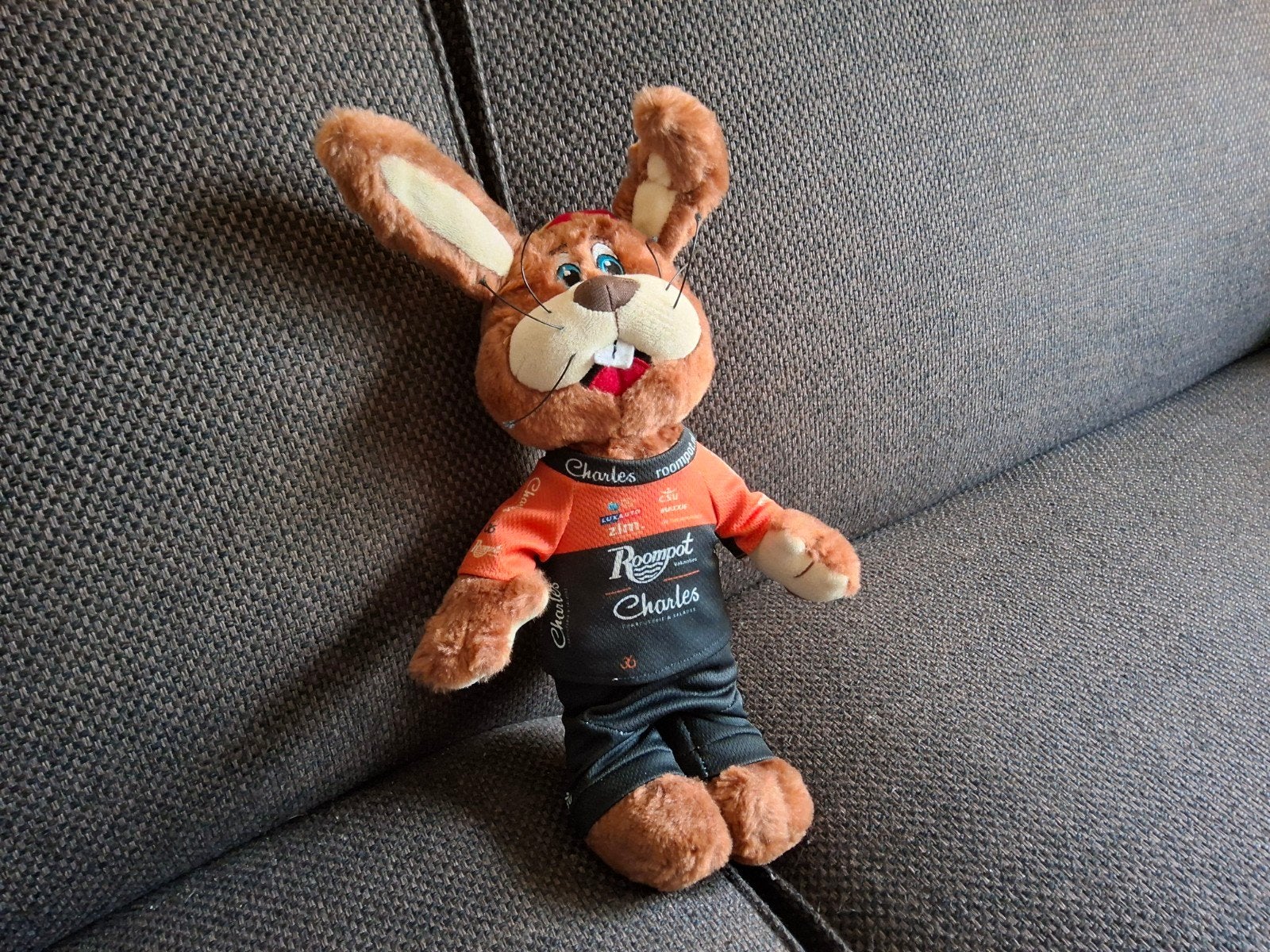 roompot koos konijn limited edition, Ophalen of Verzenden, Zo goed als nieuw