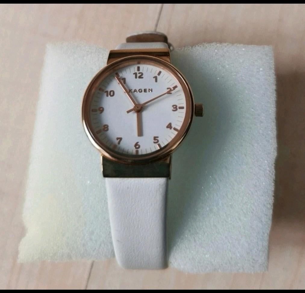 Dames horloge ( skagen), Sieraden, Tassen en Uiterlijk, Horloges | Dames, Ophalen of Verzenden, Leer, Overige merken