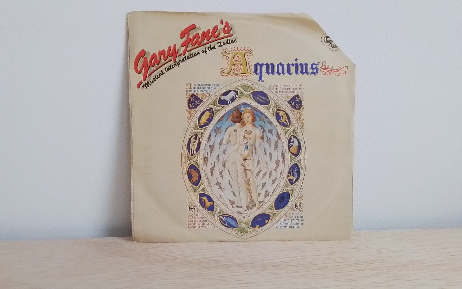 Gary Fane,s - aquarius, Cd's en Dvd's, Ophalen of Verzenden, Gebruikt, Pop