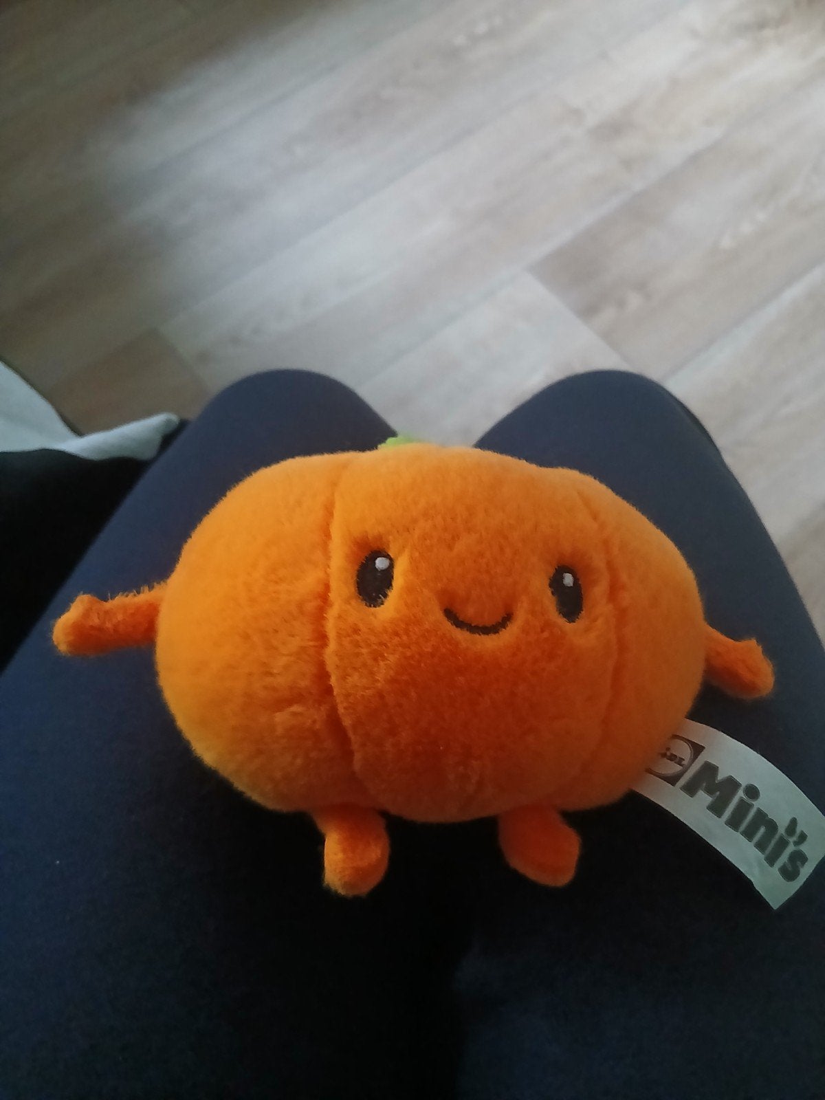 Lidl  minis  knuffel  pompoen., Ophalen of Verzenden