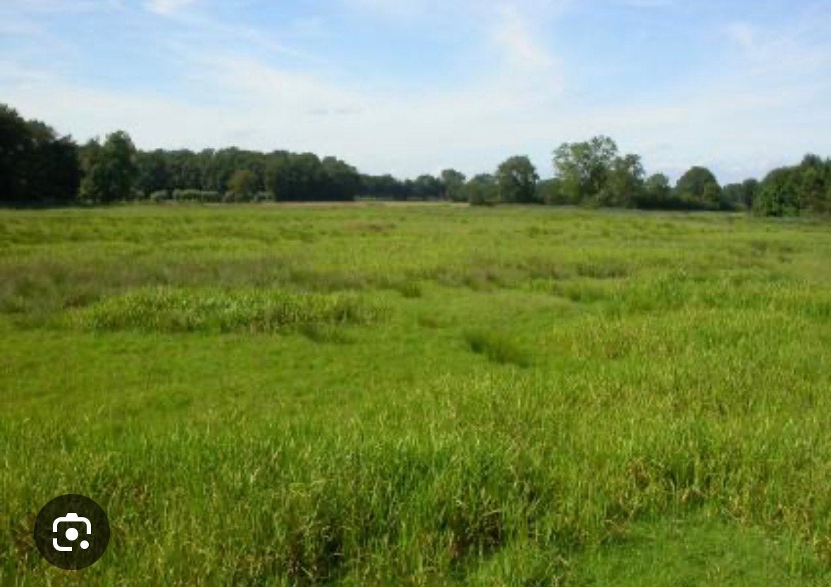 Gras op stam gezocht, Dieren en Toebehoren