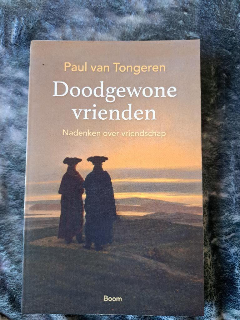 Doodgewone vrienden, Boeken, Ophalen of Verzenden, Zo goed als nieuw, Paul van Tongeren, Algemeen