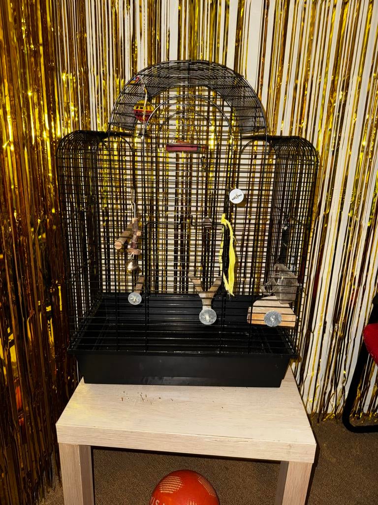 parrot cage, Dieren en Toebehoren, Vogels | Hokken en Kooien, Ophalen of Verzenden, Zo goed als nieuw, Hout, Vogelkooi