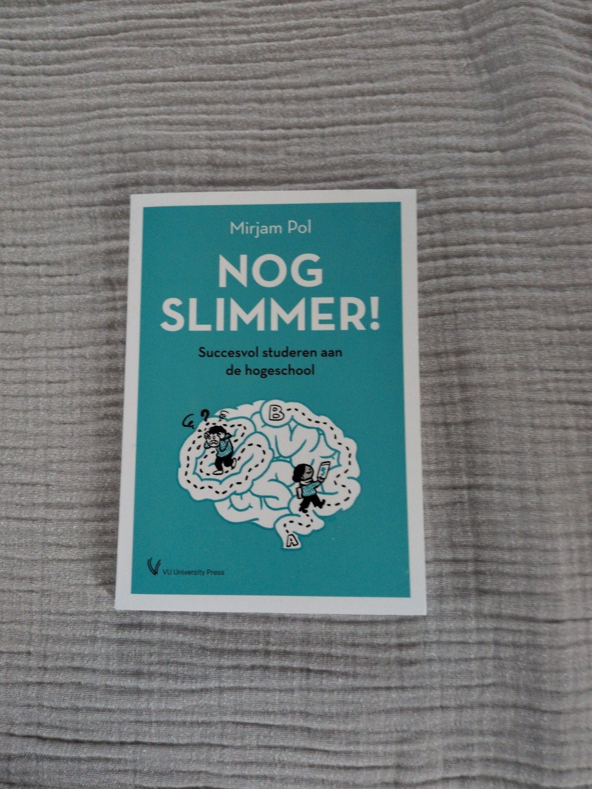 Nog Slimmer! Succesvol studeren aan de hogeschool, Ophalen of Verzenden, Zo goed als nieuw, HBO, Mirjam Pol