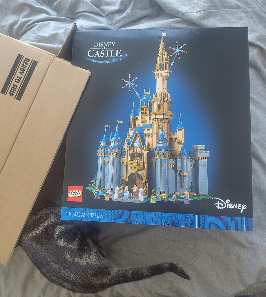 LEGO Disney kasteel (43222), Ophalen, Nieuw, Complete set, Lego