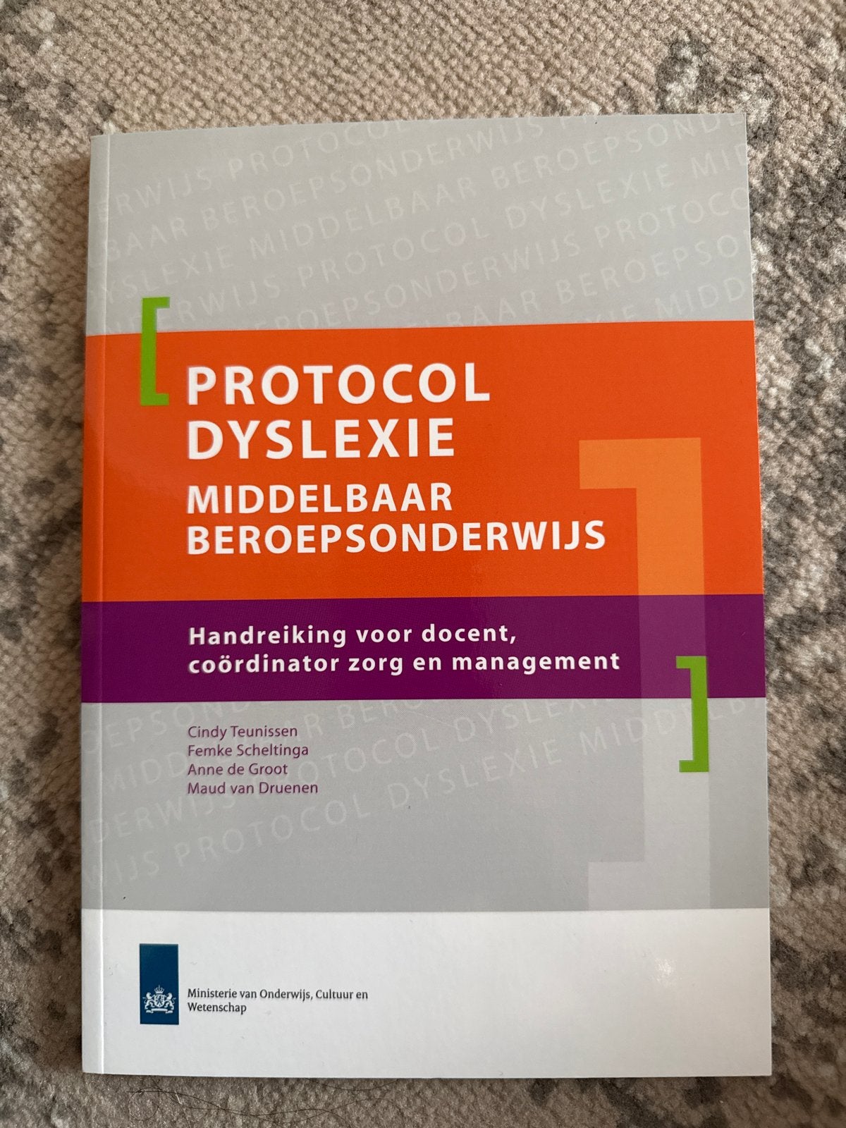 Protocol Dyslexie Middelbaar Beroepsonderwijs, Ophalen of Verzenden, Nieuw, MBO