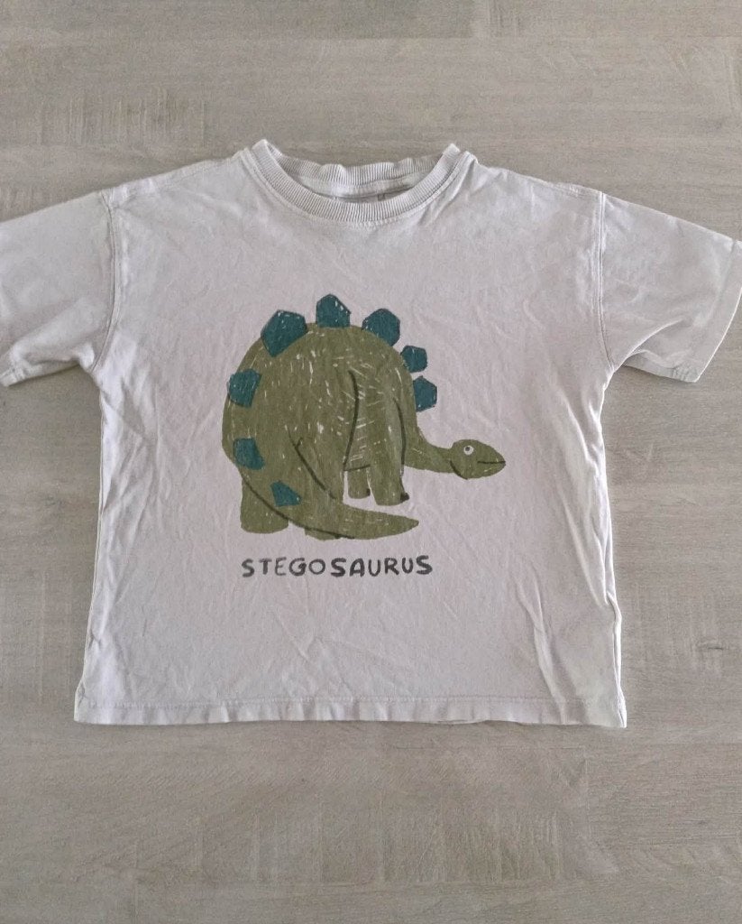 dino T shirt maat 110 Zara, Gebruikt, Ophalen of Verzenden, Zara, Shirt of Longsleeve