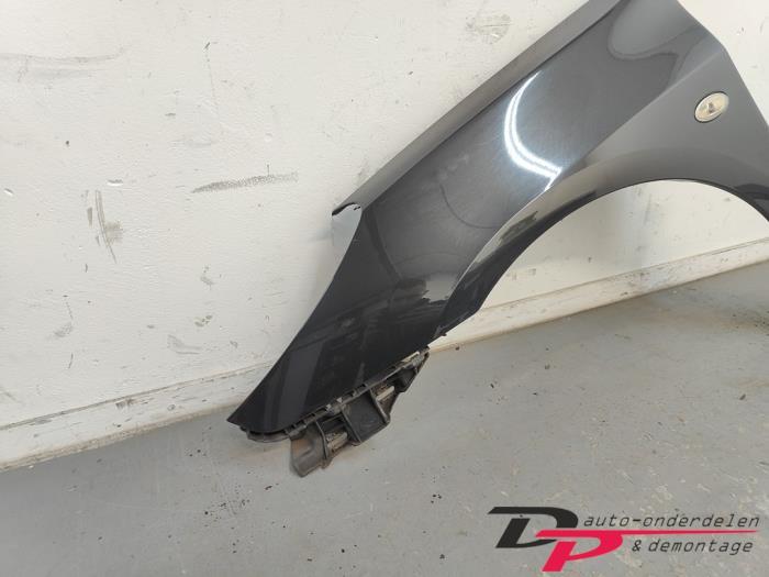 Scherm links-voor van een Peugeot 307 (EXLD), Gebruikt, -, -, Ophalen of Verzenden