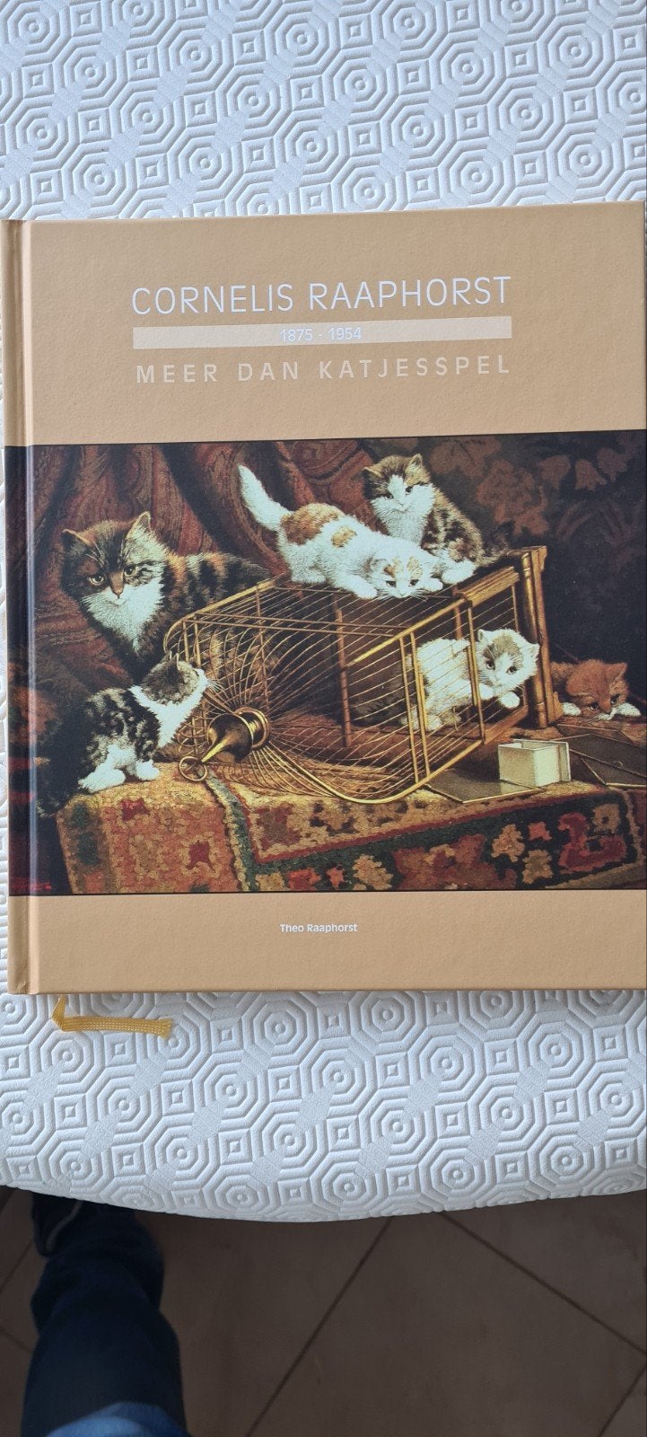 Cornelis Raaphorst: Meer dan Katjesspel - Kunstboek, Nieuw, Ophalen of Verzenden, Nederland, Theo Raaphorst