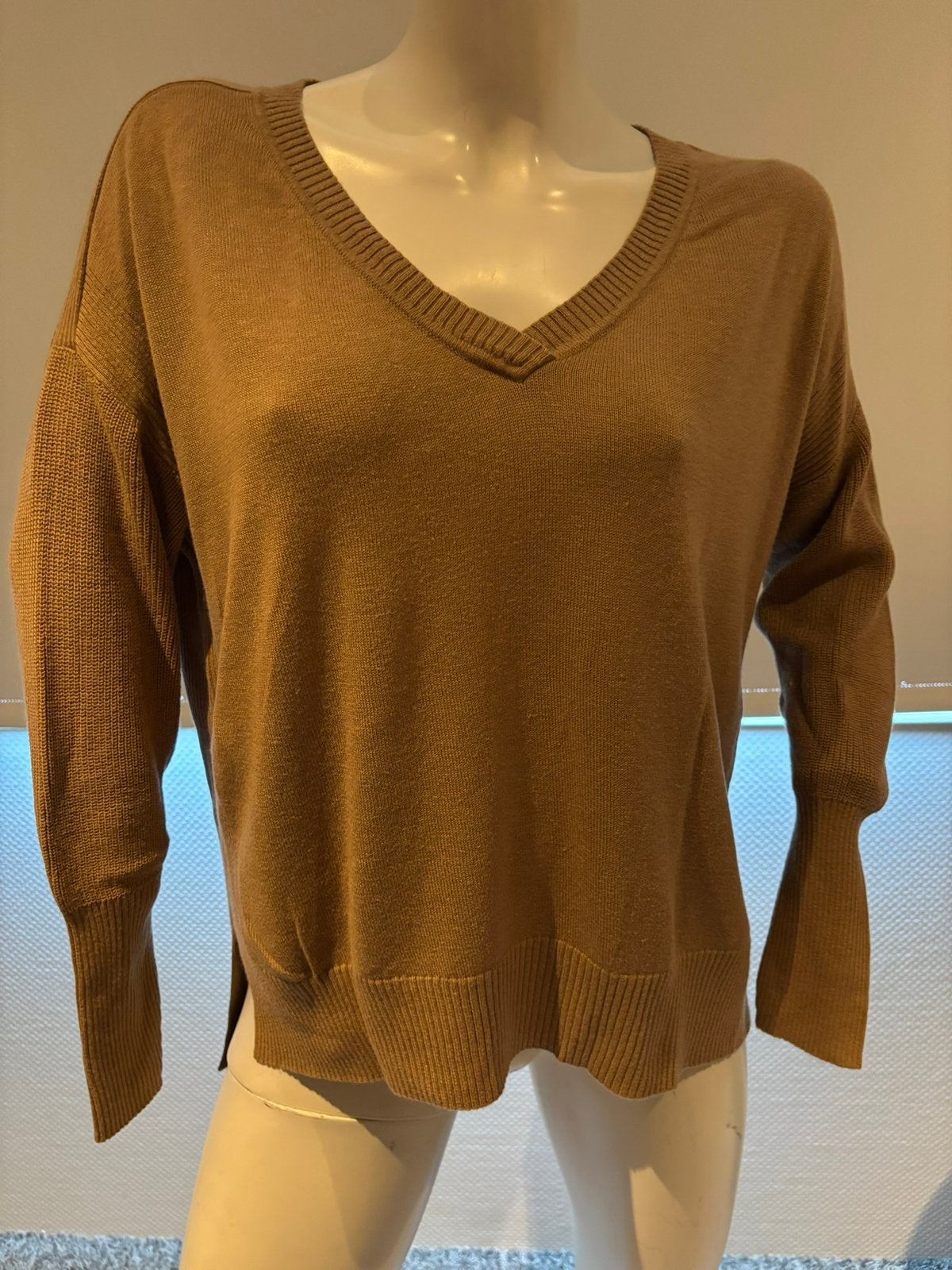Caroline biss trui maat 40, Kleding | Dames, Ophalen of Verzenden, Zo goed als nieuw, Maat 38/40 (M), Bruin
