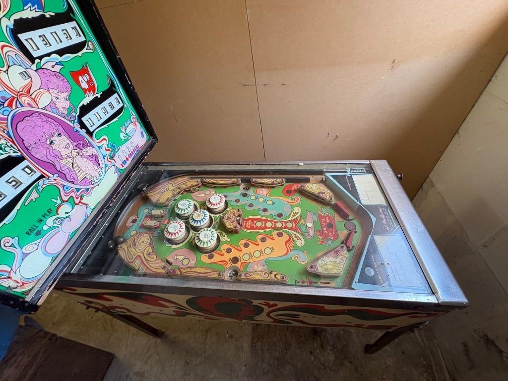Flipperkast Williams Electronics, Ophalen, Gebruikt, Mechanisch, Bally