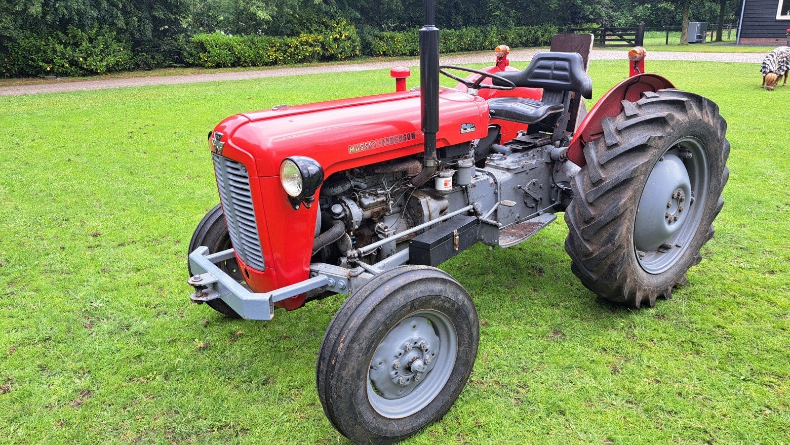 Massey Ferguson 35 - 3 cilinder, Ophalen, Oldtimer, Tot 80 Pk, Massey Ferguson