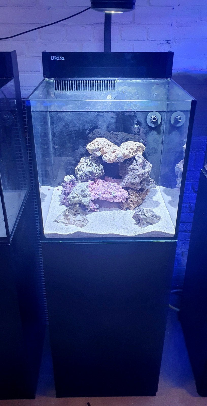 Aquarent/ zeeaquarium/ Red Sea max 75 liter., Ophalen, Red Sea, Gebruikt, App-bediening