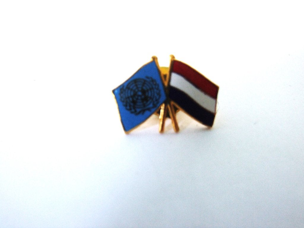 Embleem,Pin,Verenigde,Naties,UN,Nederland, Verzenden, Overige soorten, Nederland, Embleem of Badge