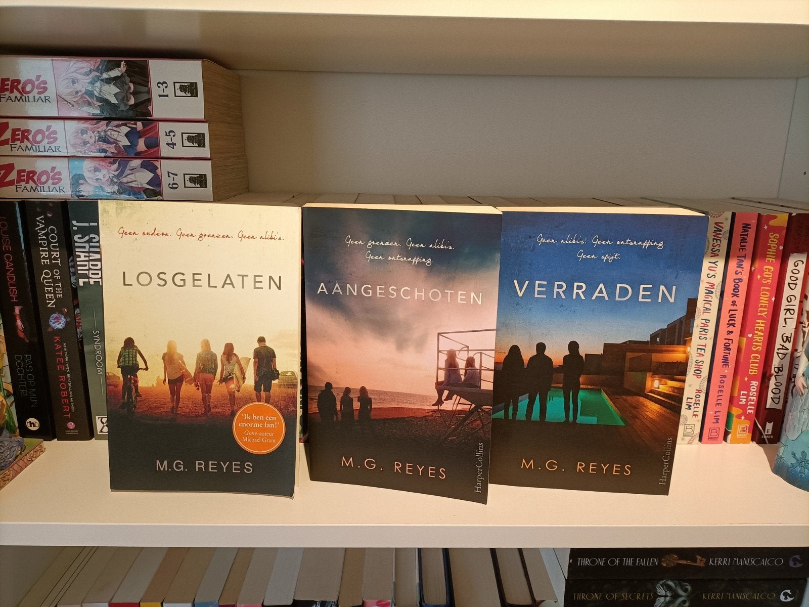 Groot Boekenpakket, Boeken, Romans, Zo goed als nieuw, Ophalen of Verzenden