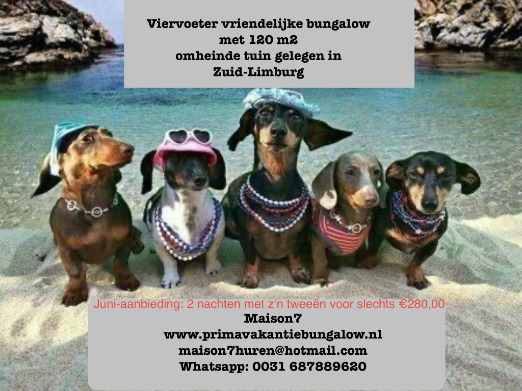 Neem hond gratis mee op vakantie omheinde bungalow Limburg, Ophalen
