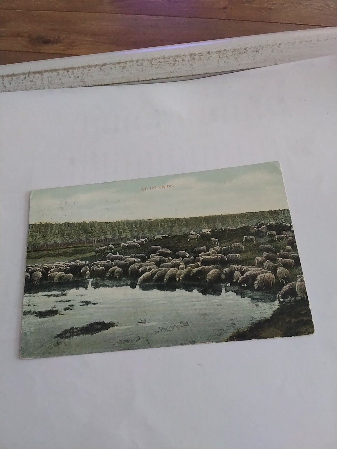 Oude Ansichtkaart: Schapen op de Heide (1908), Ophalen of Verzenden, Voor 1920, Gelopen, Gelderland