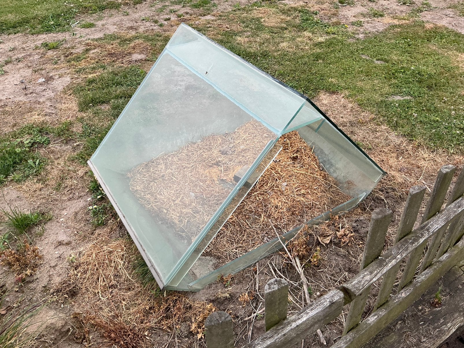 Glazen schuilhok voor wat kleinere dieren!, Dieren en Toebehoren, Knaagdieren en Konijnen | Hokken en Kooien, Minder dan 60 cm