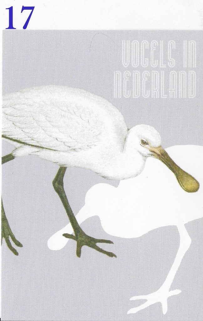 Ansichtkaart Vogels in Nederland Lepelaar ( B3947 ), Ophalen of Verzenden, 1980 tot heden, Ongelopen