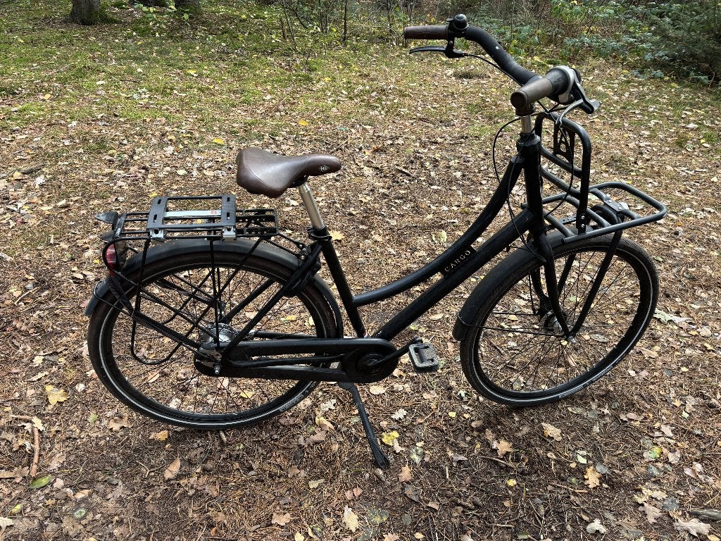 Cargo damesfiets met aanhangfiets en kinderzitje, Gebruikt, (Extra) lage instap, Trommelrem, Ophalen