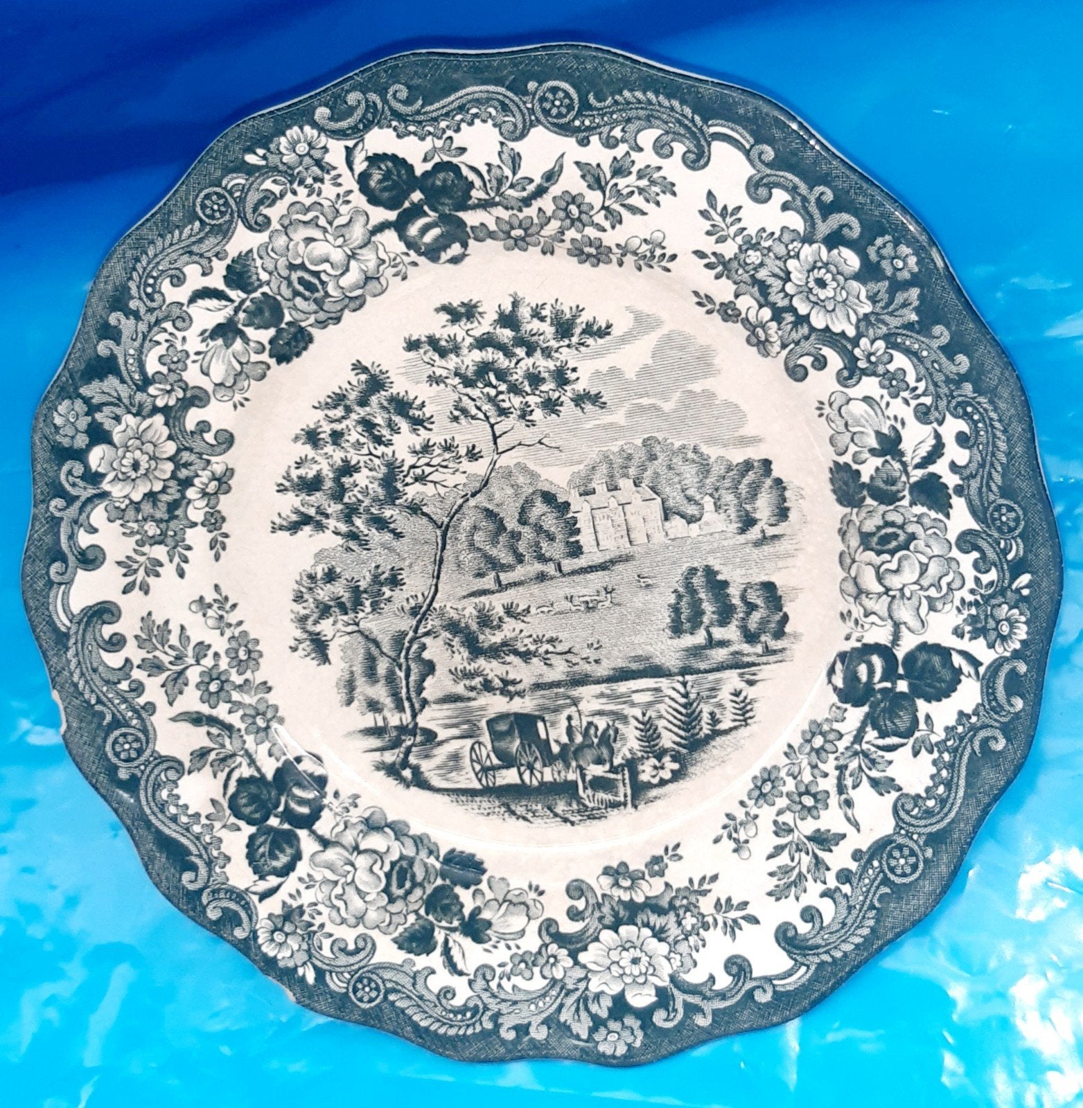 Antiek Royal Worcester Palissy Avon Scenes bord, Ophalen of Verzenden