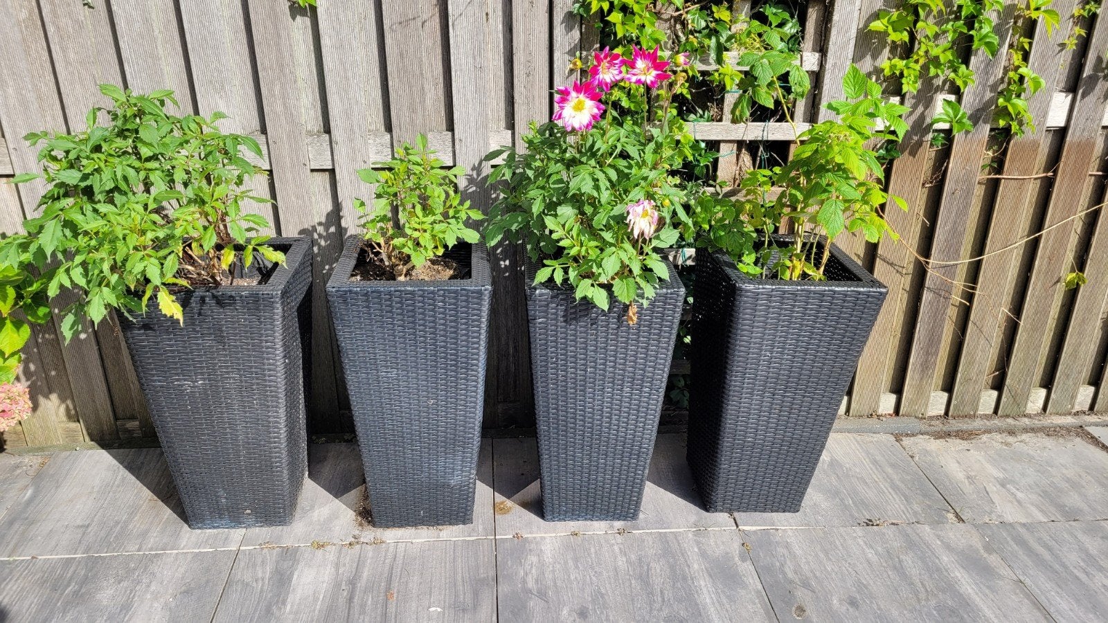 Set van 4 grote zwarte wicker plantenbakken, Ophalen, Gebruikt, Kunststof, Balkon