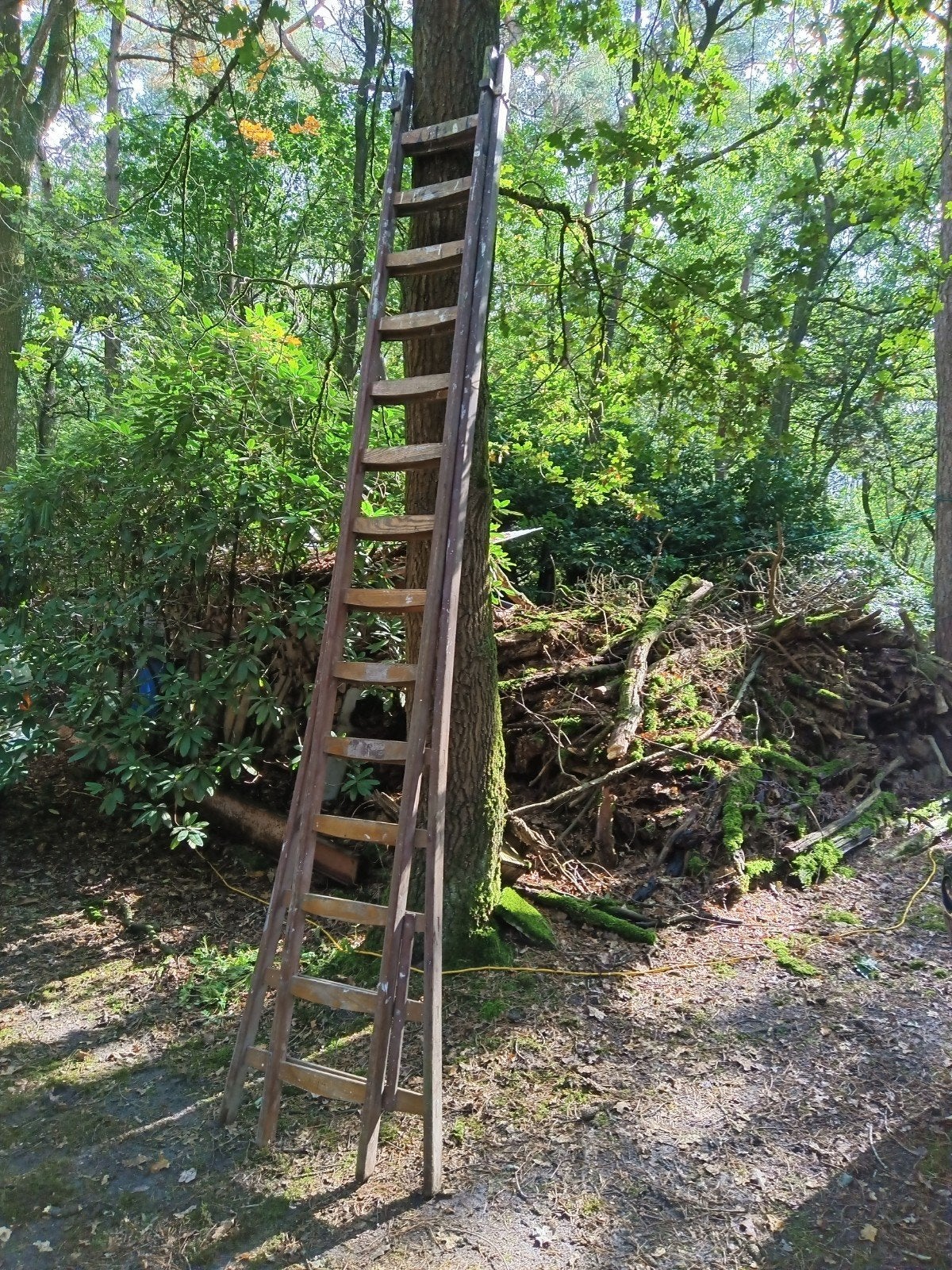 houten ladder, Ophalen, Gebruikt, Opvouwbaar of Inschuifbaar, 4 meter of meer