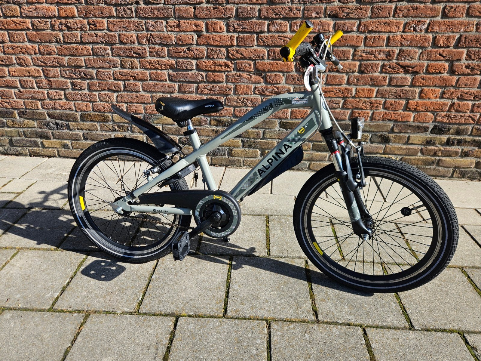 Alpina Trial 20 inch jongensfiets - Nagekeken en compleet, Overige merken, Terugtraprem, Gebruikt, Onbekend